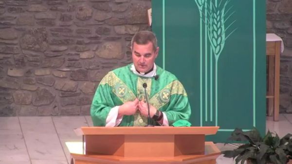 Fr. Pete's Homily - 24th Sunday in Ordinary Time