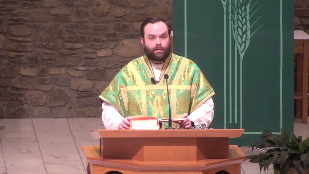 Fr. Adam's Homily - 28th Sunday in Ordinary Time | Homilía de Padre Adán  XXVIII Domingo del Tiempo Ordinario