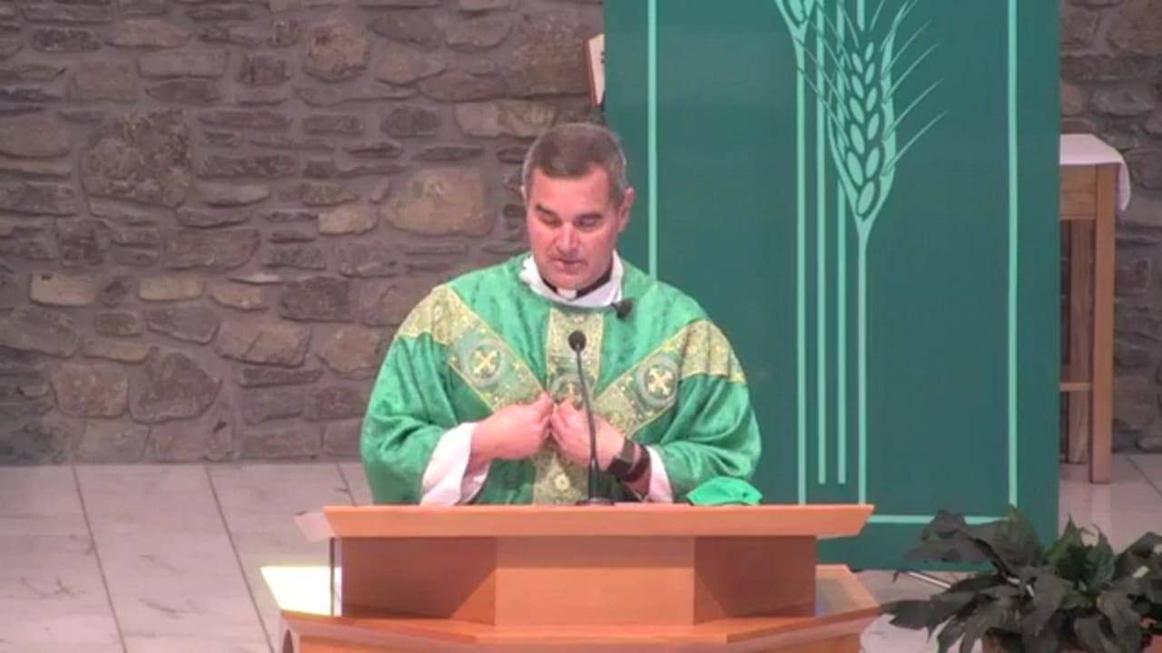 Fr. Pete's Homily - 24th Sunday in Ordinary Time