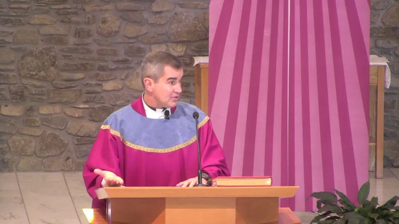 Fr. Pete's Homily - 2nd Sunday of Advent