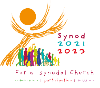 Diocesan Synod Report