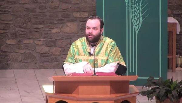 Fr. Adam's Homily - 27th Sunday in Ordinary Time