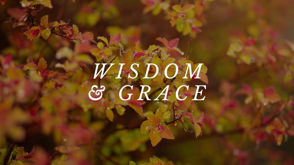 Wisdom & Grace - A New Ministry