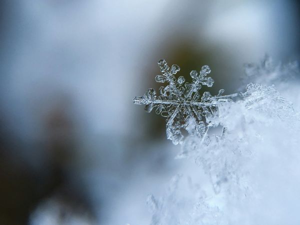 Youth Ministry Classes Canceled  - Wednesday, January 8, 2025